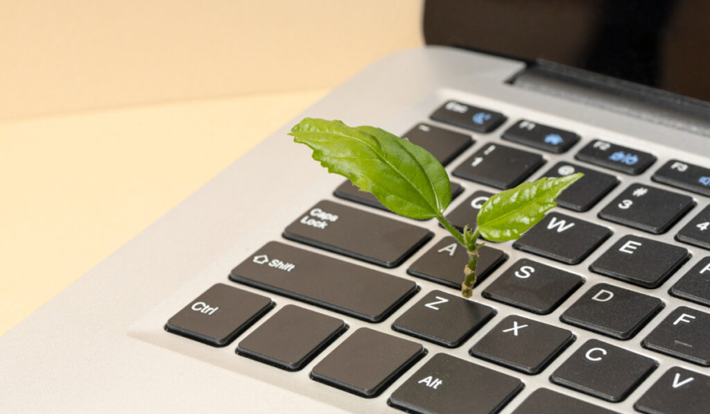 Softweb consulente marketing sostenibile