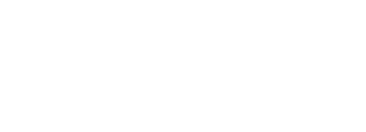 Icon Yachts